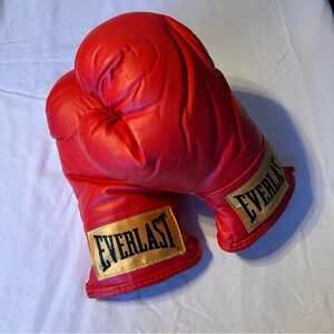 Everlast Youth Boxing Gloves Kids Size Small Red